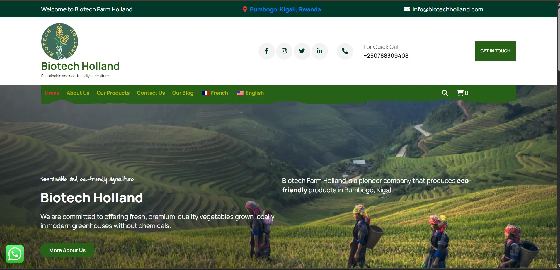 BioTech Holland — Biotechnology Platform - Software Development Project by Digital Canvas Software Development Company