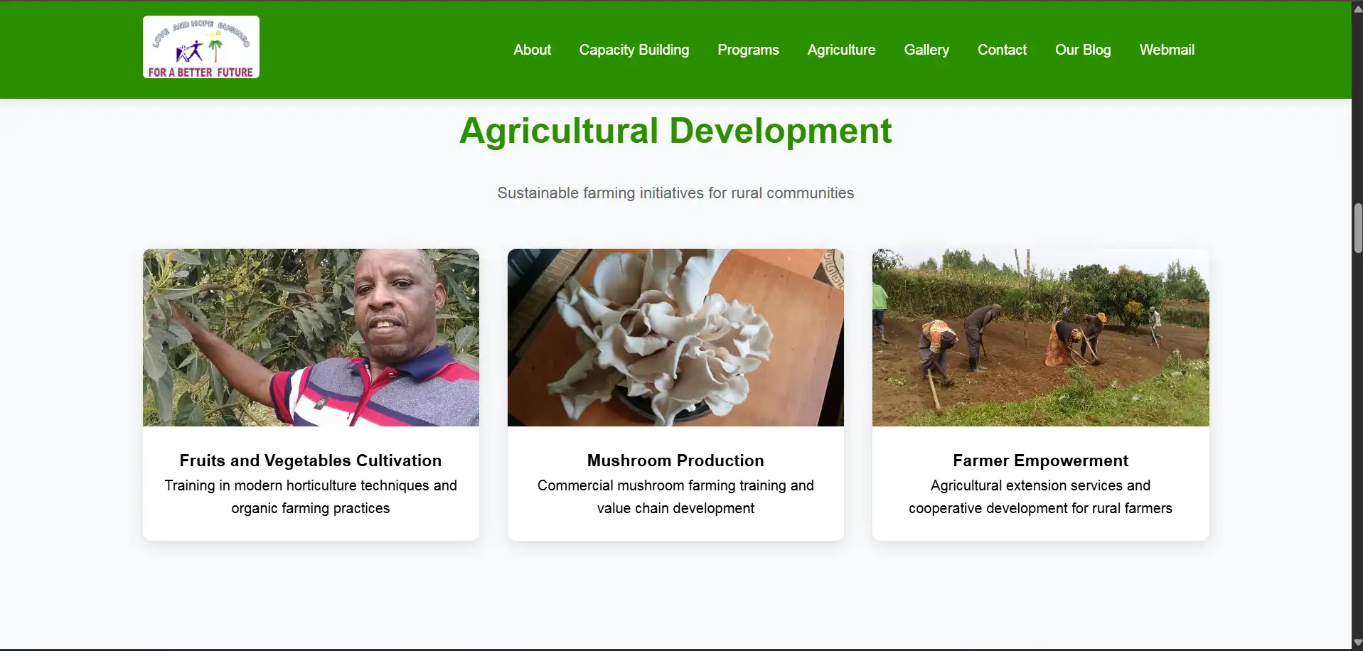 Love & Hope — Non-Profit Management Platform - Software Development Project by Digital Canvas Software Development Company